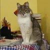 Отзыв от Лия Харитонова